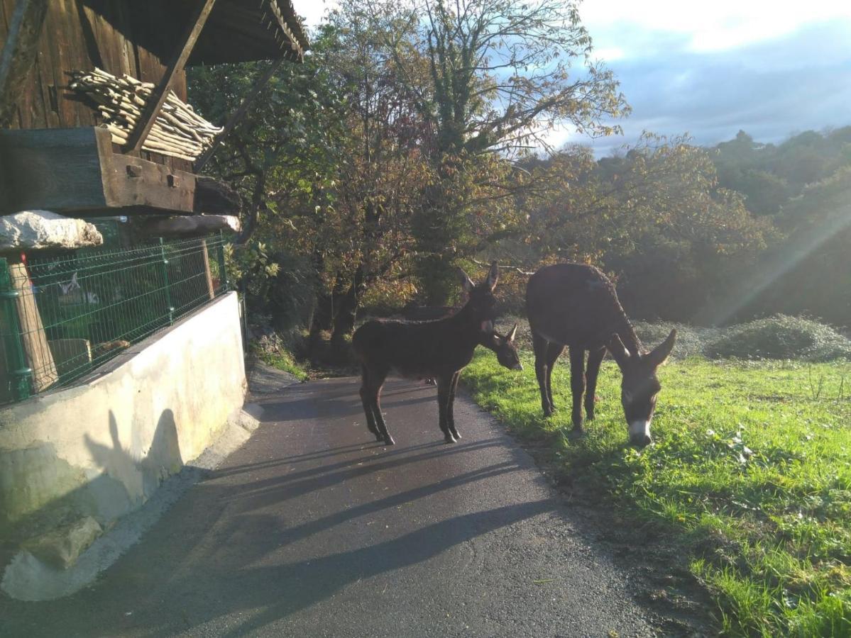 Casa Pepin - Sagasta Rural Oviedo Guest House ภายนอก รูปภาพ