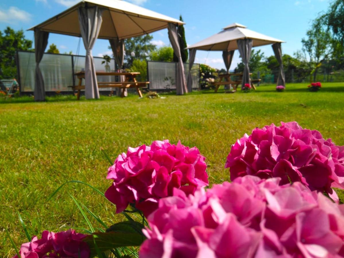Casa Pepin - Sagasta Rural Oviedo Guest House ภายนอก รูปภาพ